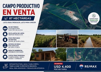 EN VENTA 87 HECTAREAS CAMPO PRODUCTIVO PURO POTENCIAL
