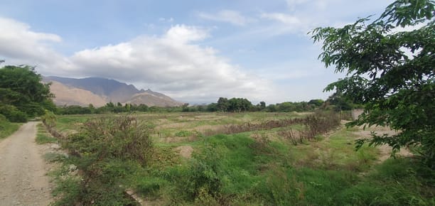 Valle Jequetepeque Remato 3.93 Hect, La Libertad
