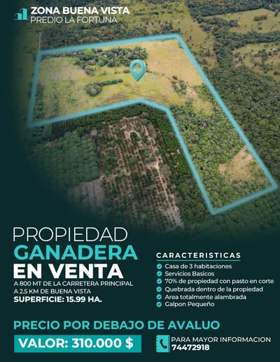Oferta de propiedad ganadera