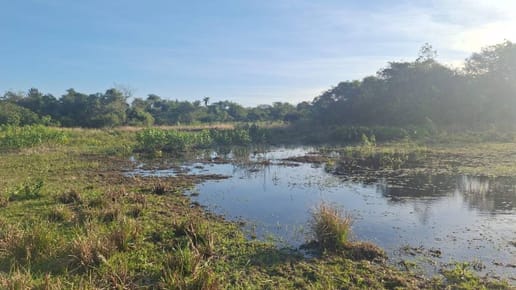 Vendo hermosa propiedad con lago en nueva Colombia
