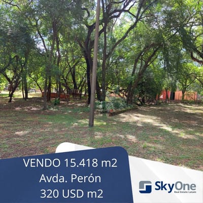 VENDO HERMOSO TERRENO! Avda. PERÓN