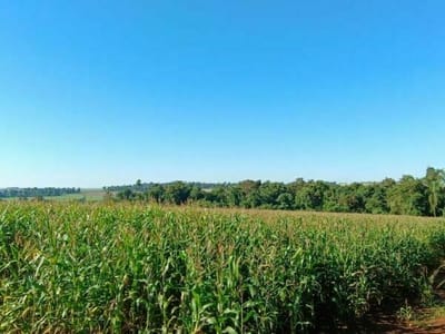 Vendo propiedad rural en Alto Paraná