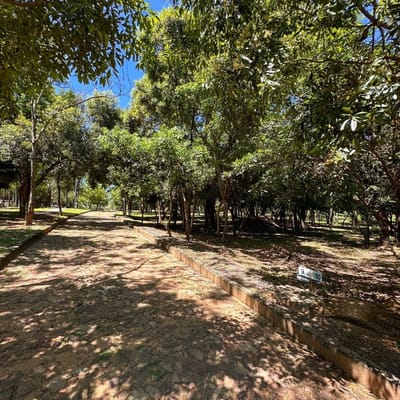 Terreno en Condominio Petrohué – San Bernardino. Lote 22