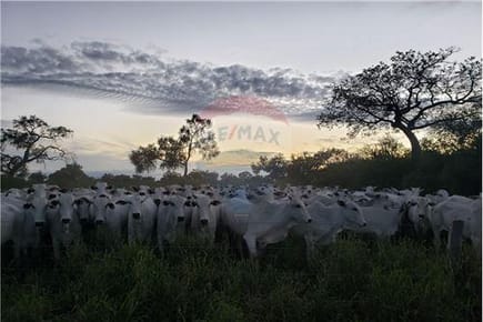 VENTA DE ESTANCIA EN BOQUERÓN - CHACO