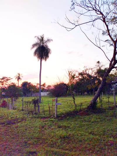 EN VENTA 4 LOTES JUNTOS EN ITAUGUA. CON VISTA AL CERRO PATIÑO.