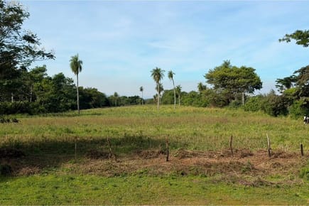 Terreno-Venta-Calle Roque Gomez , Ita Yvate, Villeta, Central