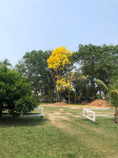 LECHERIA EN VENTA