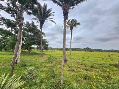 Inmueble # 482 TERRENO EN VENTA EN TARUMATU - URUBO