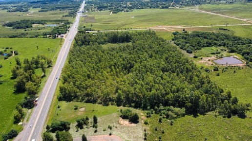 VENDO 10 HECTAREAS EN CORONEL OVIEDO SOBRE RUTA PY02