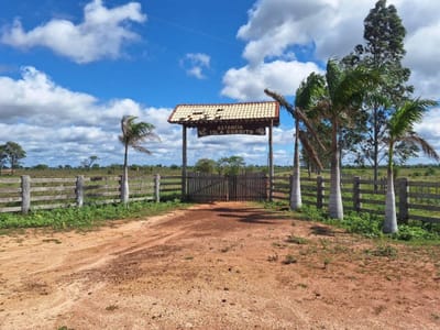 Vendo Hermosa Estancia en Horqueta -Concepción 900 hectareas!