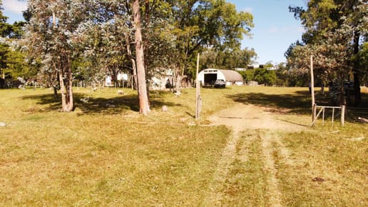 Inigualable campo ganadero