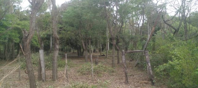 VENDO 4 TERRENOS EN CAACUPÉ