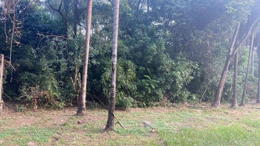 Venta de Terreno en San Bernardino, Cordillera