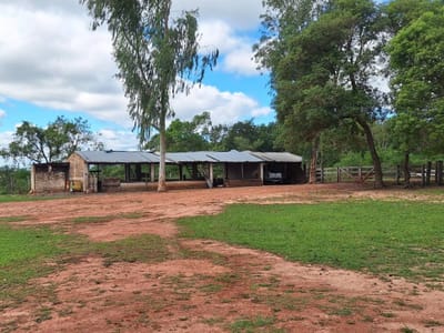 Vendo Hermosa Estancia en Horqueta -Concepción 900 hectareas!