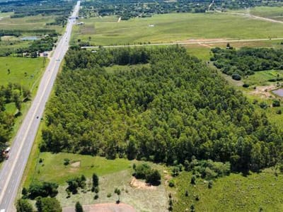 VENDO 10 HECTAREAS EN CORONEL OVIEDO SOBRE RUTA PY02