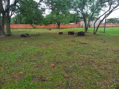 EN VENTA TERRENO CON FRENTE A DOS CALLES EN NUEVA ITALIA 50MTS DEL ASFALTO
