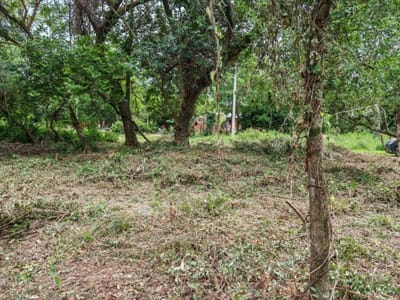 EN VENTA EN SAN BERNARDINO TERRENO 