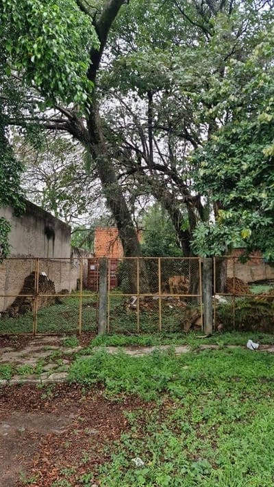 Vendo Terreno en Barrio San Jorge, ASUNCION