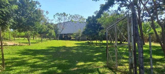 VENTA - Granja 20 ha con infraestructura agrícola y ganadera - Cecilio Báez