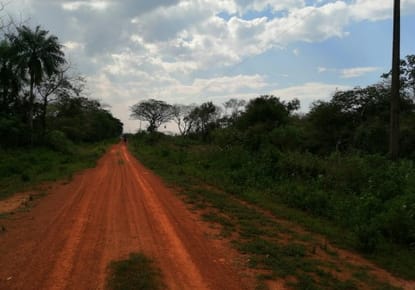 ID 15484 - Vendo propiedad rural en Coronel Bogado, Itapúa