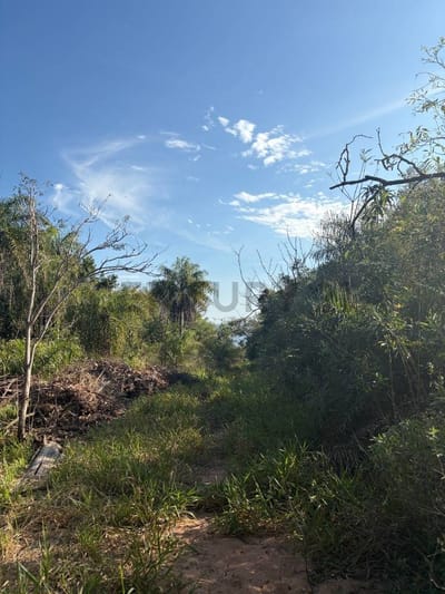 Venta Terreno en San Bernardino 