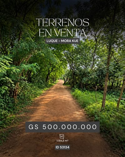 3 TERRENOS EN VENTA EN LUQUE | ID: 53134