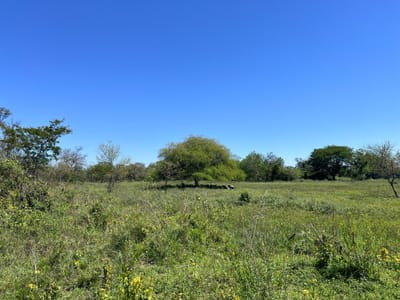 Terreno en venta - Villa Hayes 