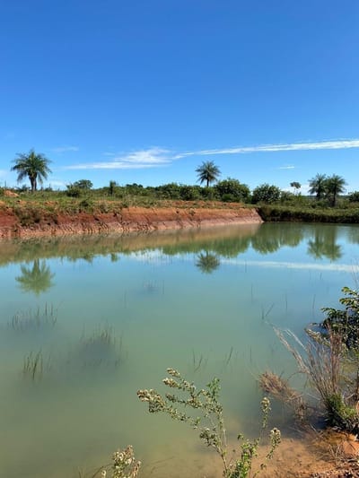 VENDO HECTAREAS EN EL DEPARTAMENTO DE PARAGUARI