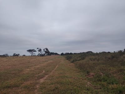 Terreno en venta en Cotoca