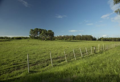 Primera categoria en la costa oeste de Mdeo. 