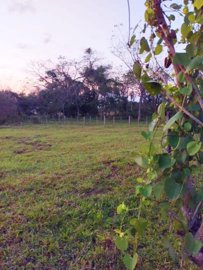 VENDO 4 LOTES JUNTOS EN Itauguá. 