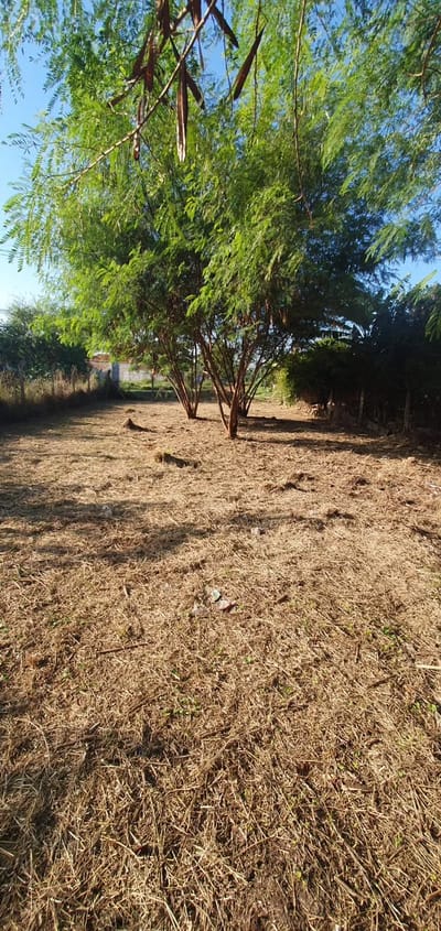 VENDO TERRENO EN MARIANO ROQUE ALONSO