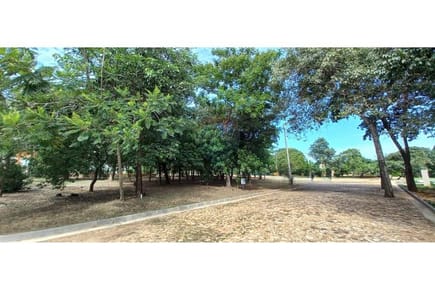 VENDO TERRENO EN SAN BERNARDINO
