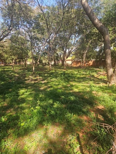 Venta De Terreno Zona Rakiura Luque