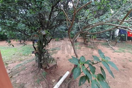 Terreno - Venta - San Lorenzo, Central, Paraguay