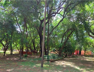 VENDO HERMOSO TERRENO! Avda. PERÓN
