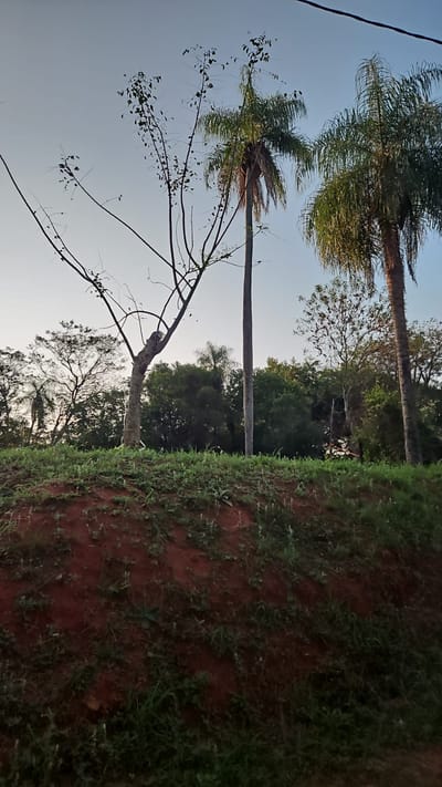 VENDO TERRENO EN LUQUE