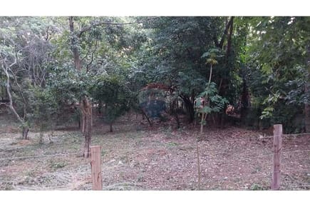 TERRENO EN ALTURA SAN BERNARDINO