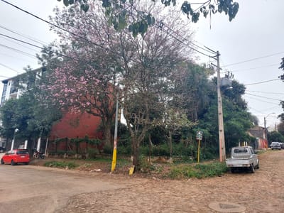 EN VENTA TERRENO EN ESQUINA FDO. DE LA MORA ZONA NORTE