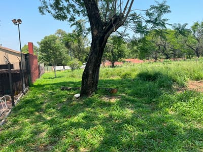 TERRENO DE 1.140 M2 EN VENTA EN LA CIUDAD DE SAN ANTONIO BARRIO LAS GARZAS