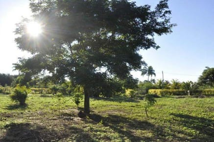 Se vende amplio TERRENO ideal para quinta