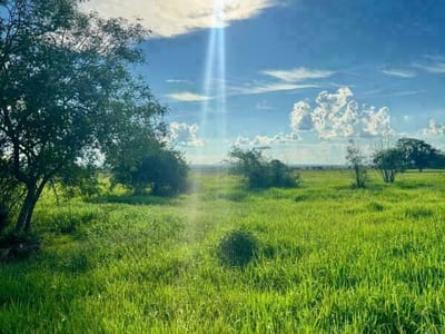 VENDO CAMPO EN ARROYOS Y ESTEROS - 48 HECTAREAS