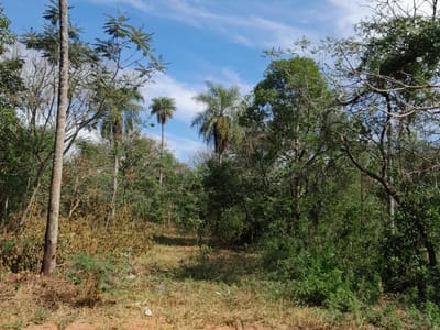 VENDO TERRENO EN ALTOS