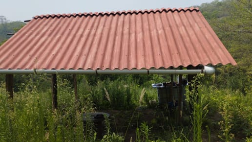  Porongo A 6km De La Plaza, Propiedad 12500m2 Con Paltas, Cafeces Y Citricos