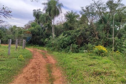 VENDO 5 HECTAREAS EN YAGUARON PARAGUARI