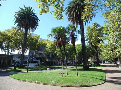 EXCELENTE PUNTO PASOS MDEO SHOPPING Y ZOO , AMPLIO Y SOLEADO G.COM. BAJOS!
