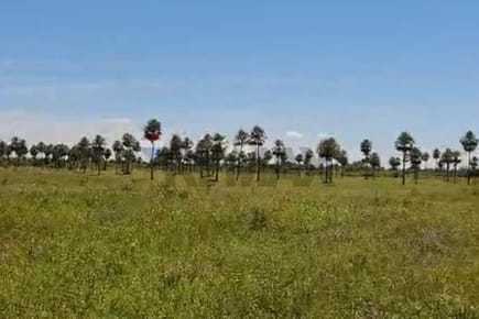 TERRENO EN VENTA, VILLA HAYES