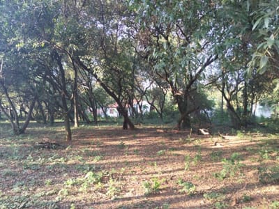VENDO TERRENO DE 2960 M2 EN LUQUE - MARAMBURE - YUKYRY