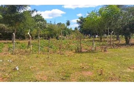 EXCELENTE OPORTUNIDAD DE TERRENO EN BARRIO SAN CAYETANO