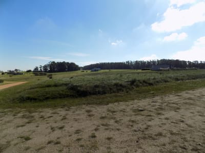 TAJAMARES DE LA PEDRERA LOTES EN VENTA